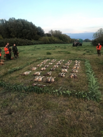 Na zajacoch v Maďarsku ...