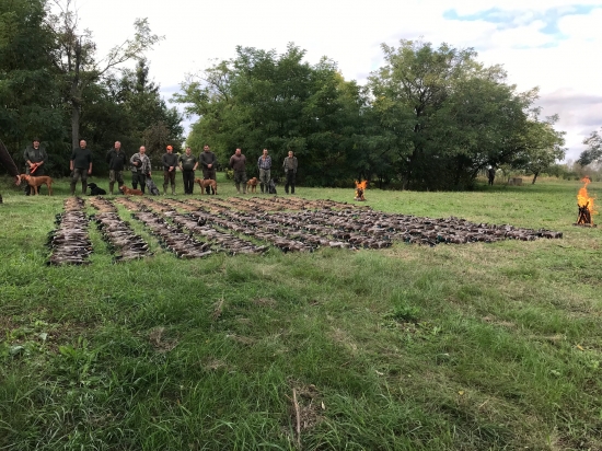 Na kačiciach v Maďarsku