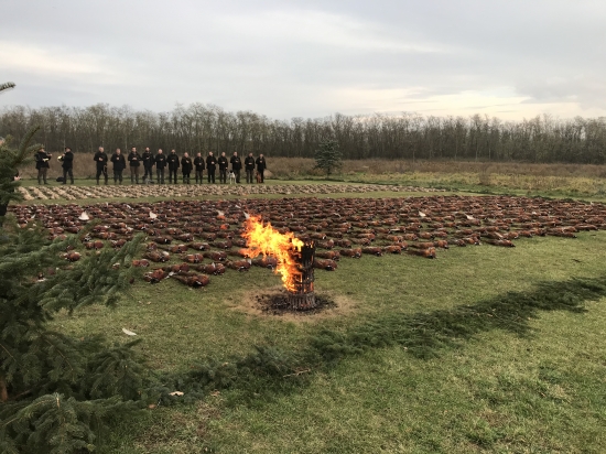 Židlochovice 2019