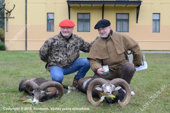 Na muflónoch v Topoľčiankach