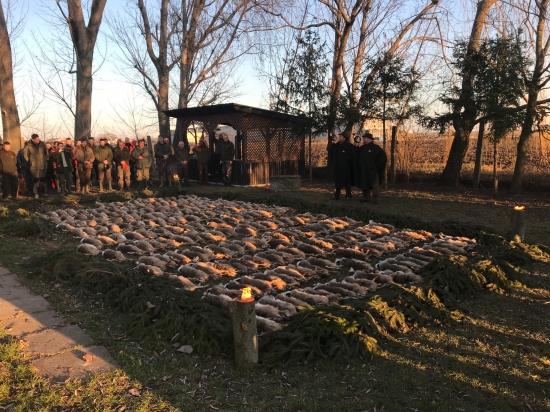 Na zajacoch na Slovensku