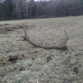 Tak aj mne sa podarilo...