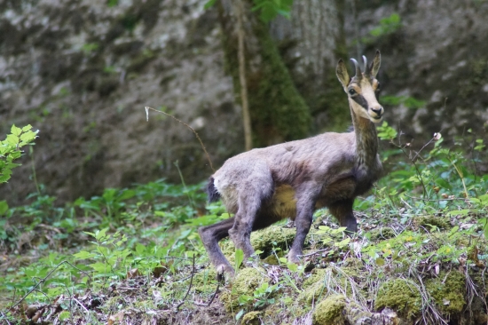 Kúsok zo Švajčiarska