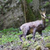 Kúsok zo Švajčiarska