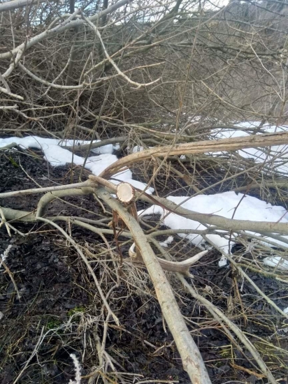 Minuloročný 12torak