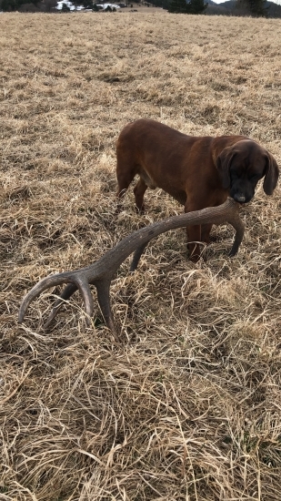 No konečne sa podaril tohtoročný