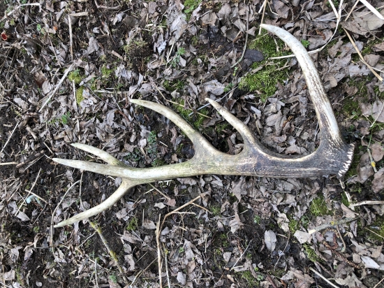 Další starý 12torak