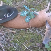 z nedelného rána ..