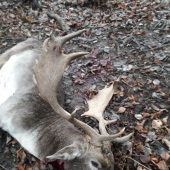 ... na Liptovskych holiach asi 23.