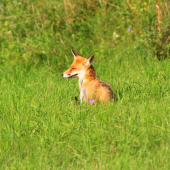 na slniečku je najlepšie...