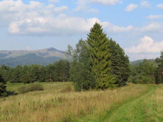 septembrová...