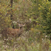 jesenná atmosféra...