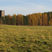 babie leto v novembri...