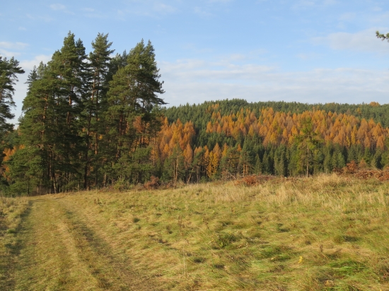novembrová...
