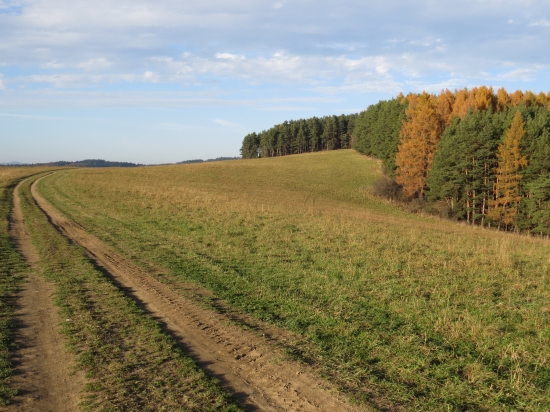 novembrová...
