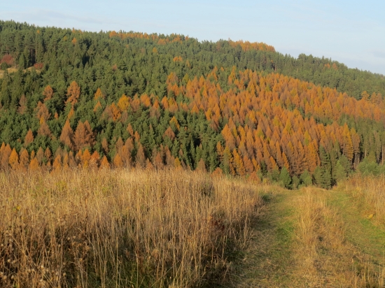 novembrový podvečer...