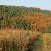 novembrový podvečer...