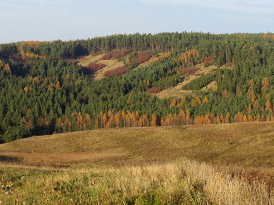 novembrová...