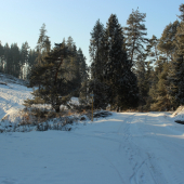 Pod Ľubickým kopcom....