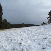 Vianočná prechádzka...