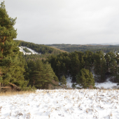 Levočslé pohorie...