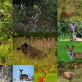 fotospomienky na rok 2018...