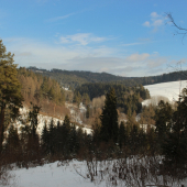 slnečný zimný deň...