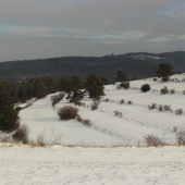 tesne pred snežením...