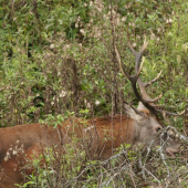 archívna z jesene...príliš blízko...