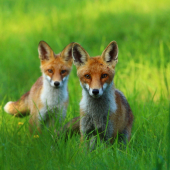 spomienka na leto...