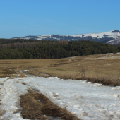 s nádychom jari II...