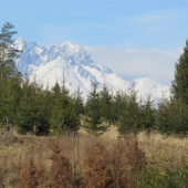 pod Tatrami už bez snehu...