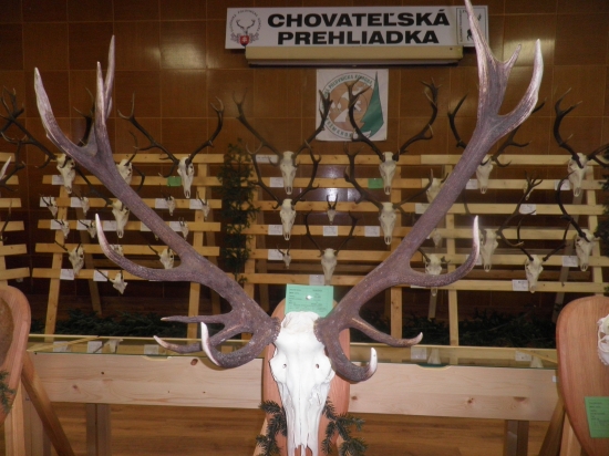 Najsilnejší z Kežmarku...