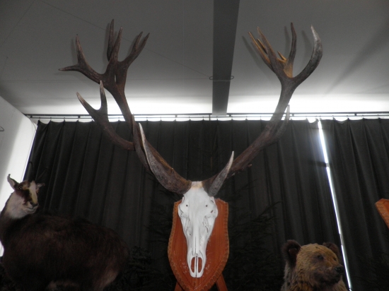 Najsilnejší v Poprade...