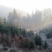 rána sú ešte chladné...