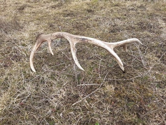 Trochu neskór zahajena sezona