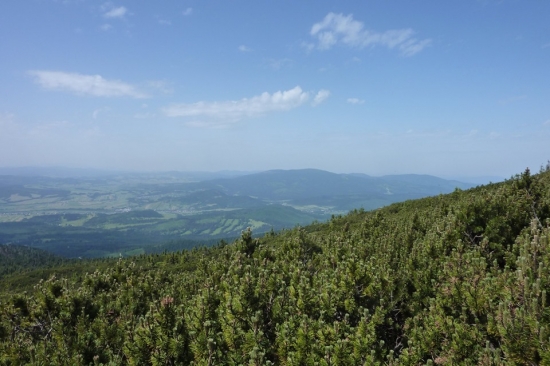 Oravské Beskydy