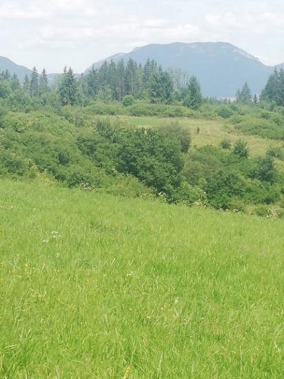 Liptov