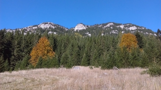 Jesenná
