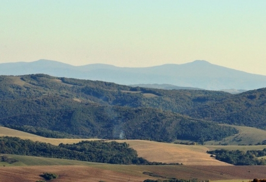 Vihorlad