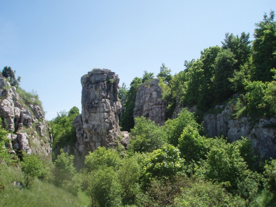 Dreveník