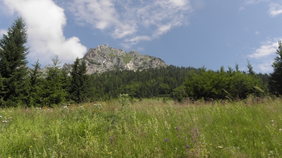 Veľký Rozsutec