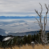 Zo Silvestrovského Braniska