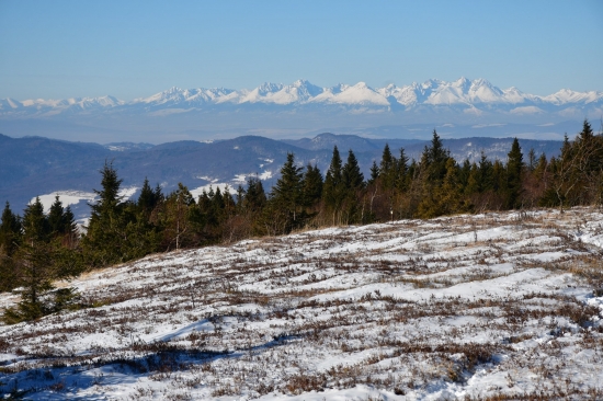 Volovské vrchy