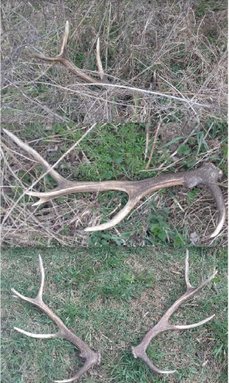 nepravidelny desatorak