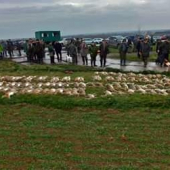 Druha spolecna na zajice