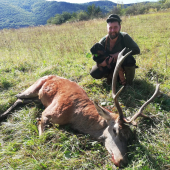 Už keď som neveril tak jelenik bol náš