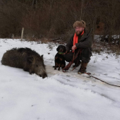 Dohľadaný lanštiak