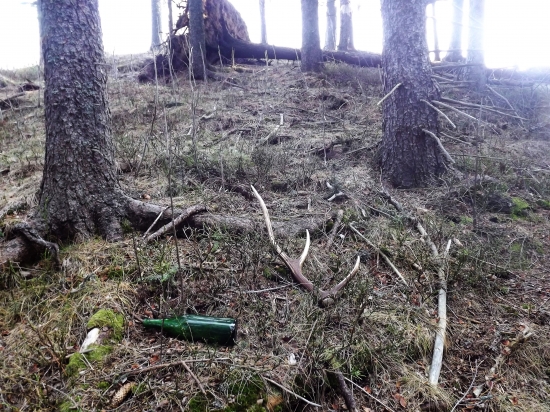 pivo vypil, paroh zhodil