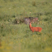 Váš názor na vek?